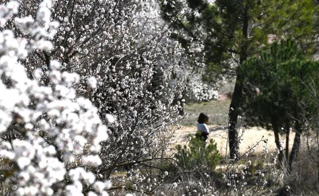 Llega un desplome de temperaturas con posibilidad de nieve a Valladolid