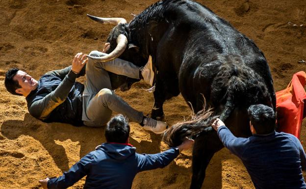 El 'indultado' Miércoles de Cenizos hace las delicias de los mirobrigenses