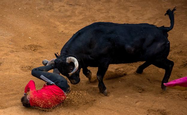 Estable dentro de la gravedad el vallisoletano herido en la capea de Ciudad Rodrigo