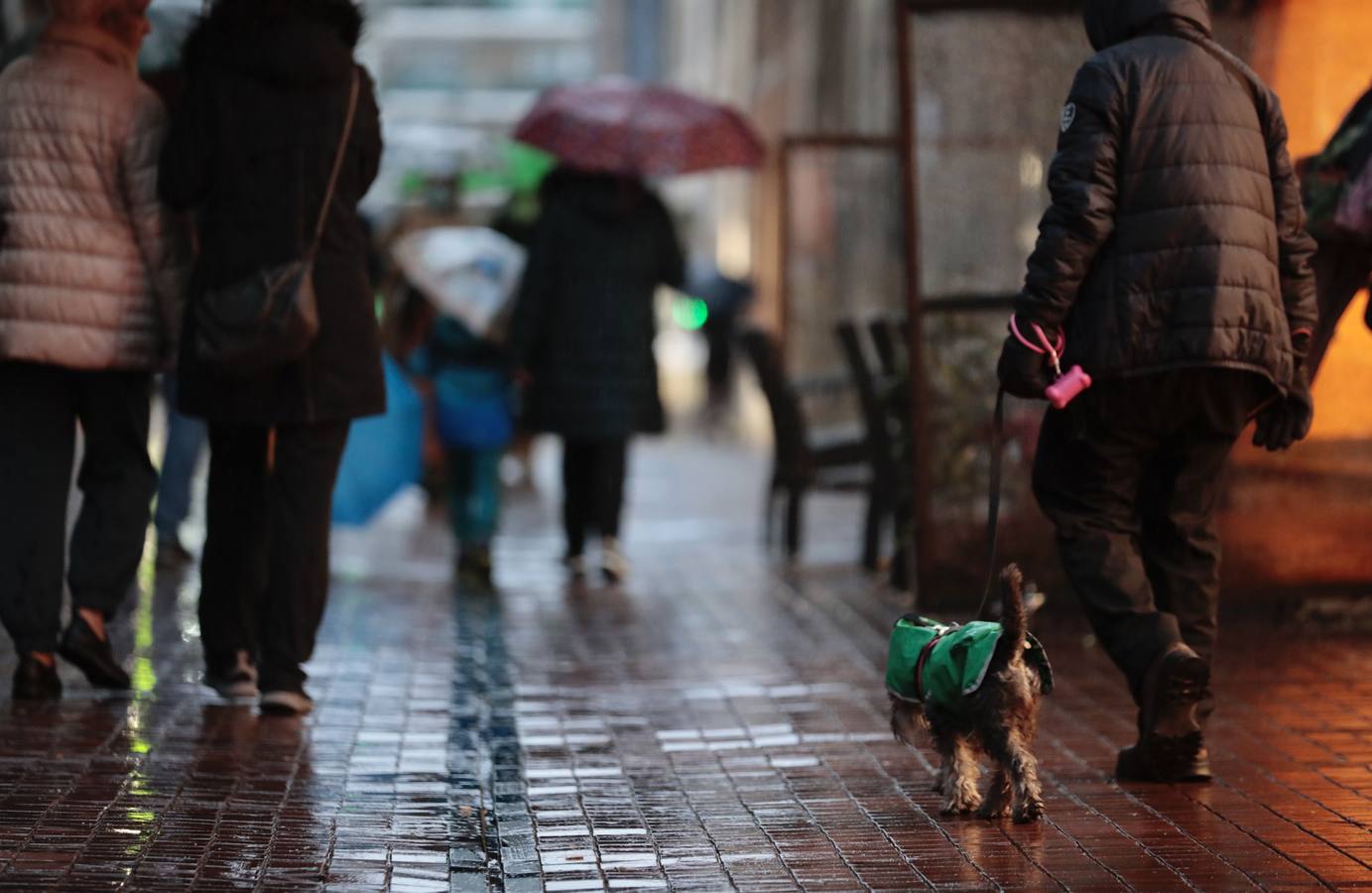 La lluvia reaparece con fuerza en Valladolid