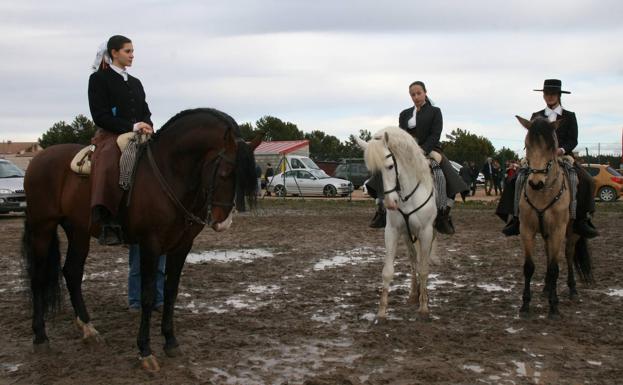 La Feria del Caballo permitirá disfrutar de la belleza de los equinos