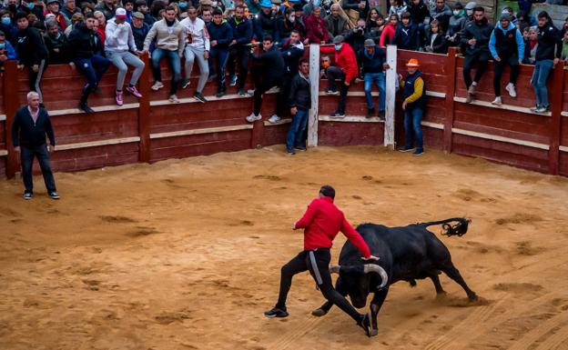 Sale de la UCI el joven vallisoletano herido en una capea de Ciudad Rodrigo