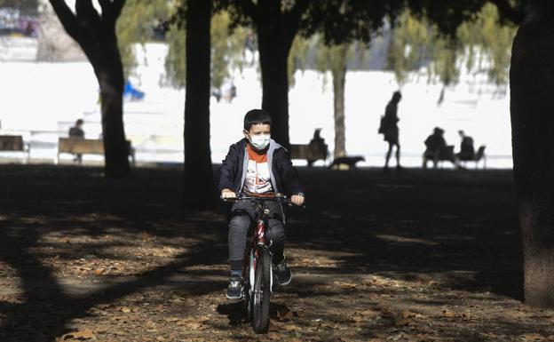 Los niños y niñas que viven y estudian cerca de espacios verdes sufren menos estrés oxidativo