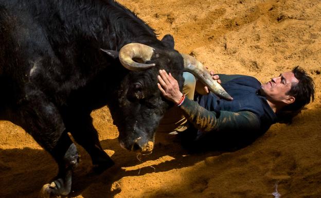 El Carnaval del Toro de Ciudad Rodrigo se salda con 97 personas atendidas, el máximo histórico