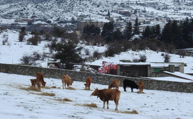 Segovia marca un nuevo récord de lluvia caída en un solo día de marzo