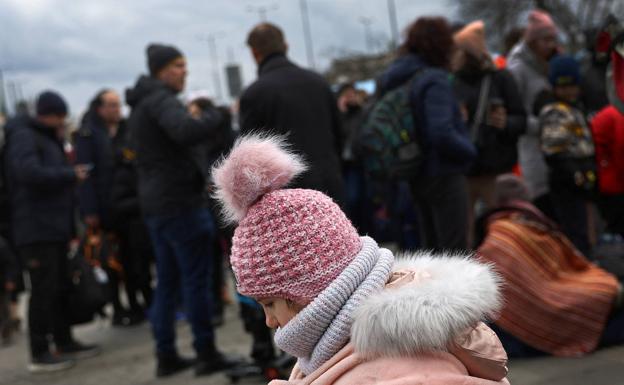 Obligada altura de miras