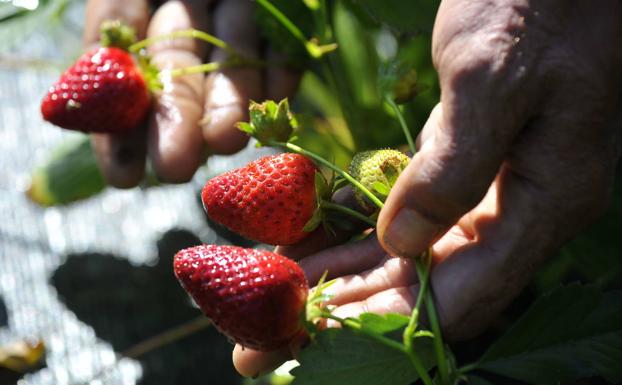 El riesgo de una burbuja ecológica