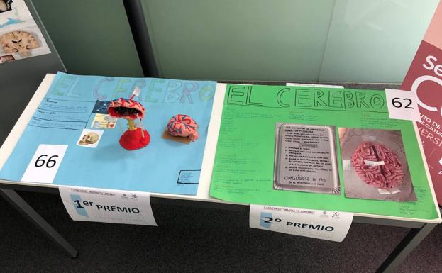 El Instituto de Neurociencias de Castilla y León organiza una nueva edición de la Semana del Cerebro