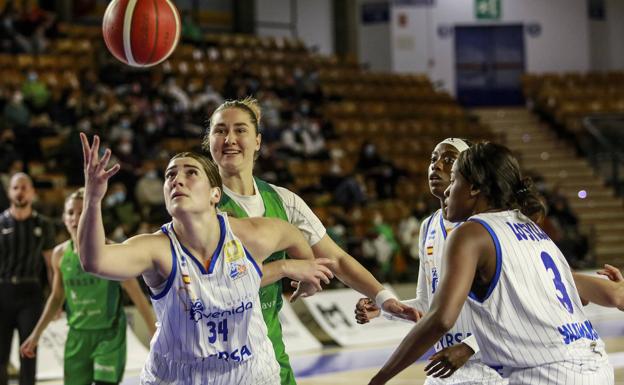 El CB Avenida recibe a Araski en medio de la pelea europea con Girona por la Final-Four