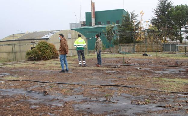 Cuéllar ofrece cursos de horticultura a quienes opten a los huertos de ocio