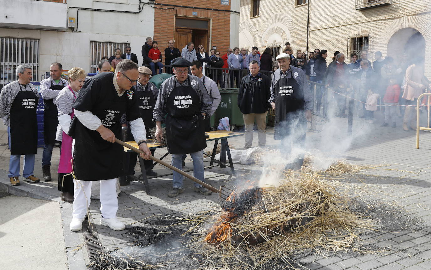 Las canciones de la tuna animarán la feria de la matanza del cerdo en Villada