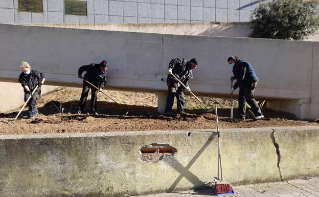 El alumnado del de AFE Restaura Verde de Alba de Tormes hará sus prácticas en viveros Salarca