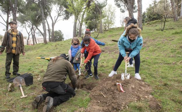 El Ayuntamiento de Segovia planta 55 árboles en la zona del Pinarillo para celebrar el Día del Árbol