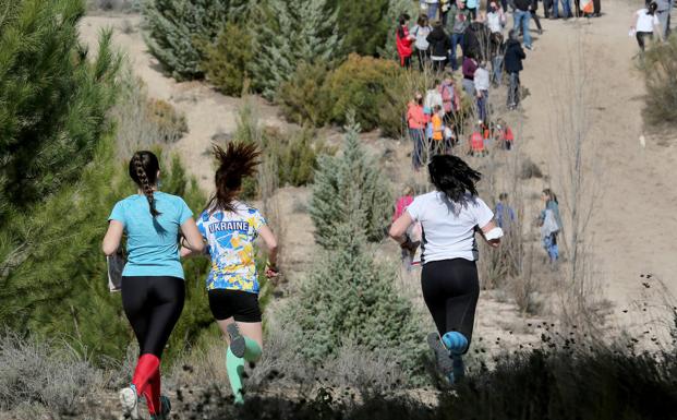 Montemayor de Pililla despide la competición escolar de Orientación