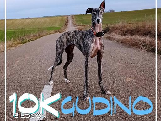 La tercera edición de los rápidos 10km de Gudino llegará el domingo 8 de mayo