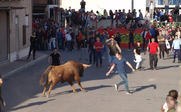 Abril taurino en la comarca de Tierra de Pinares