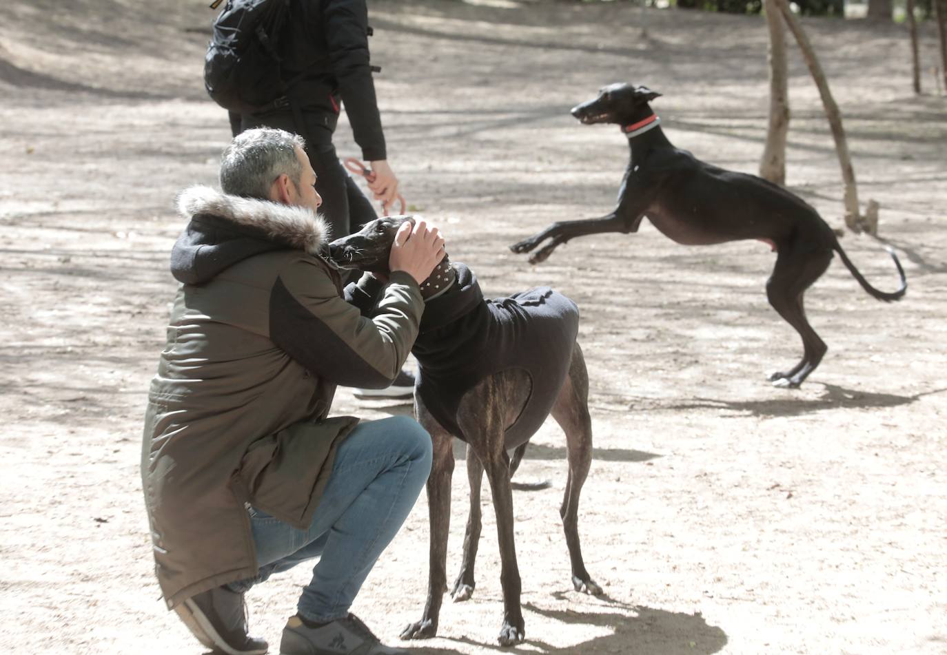 Parque canino de las Moreras en Valladolid