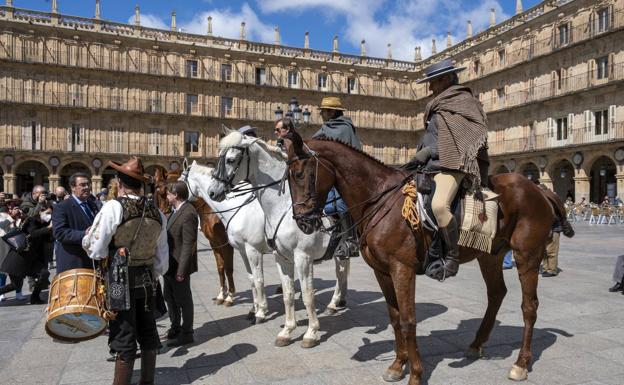 Los jinetes 'nebrisenses' cabalgan hasta la Plaza Mayor de Salamanca