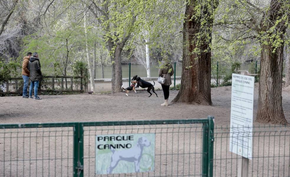 Veinte parques caninos en Valladolid para más de 38.000 perros: consulta el mapa completo