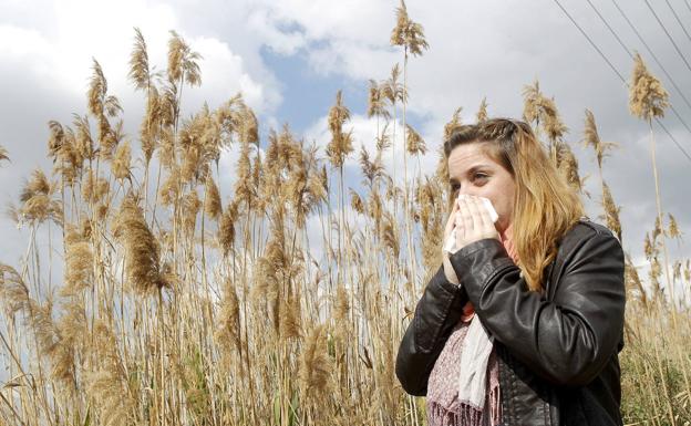 Lo mejor para los alérgicos: vivir en el campo, sin césped y a ras de suelo