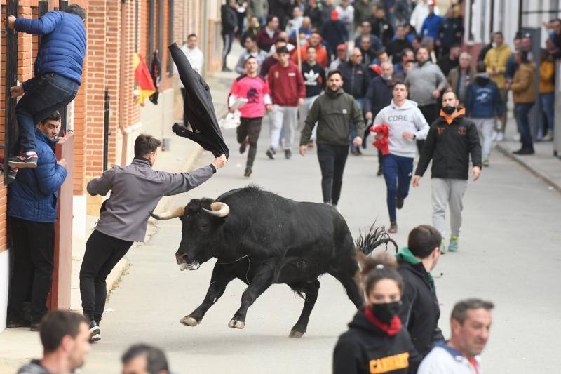 Susto en el 'Toro del Arrope' de Siete Iglesias de Trabancos por un varetazo a un joven