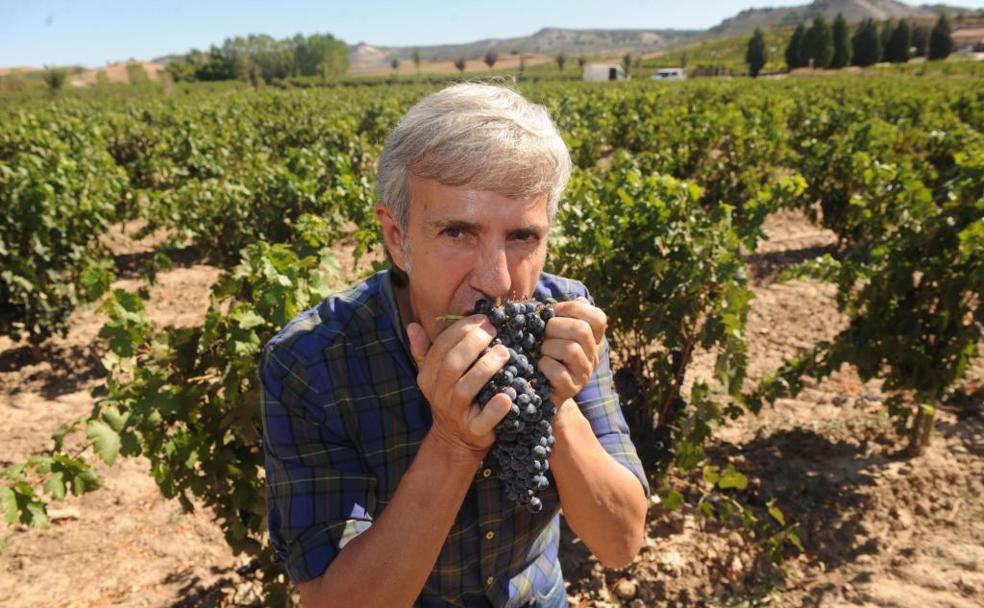 José Moro: de la tierra al esmoquin