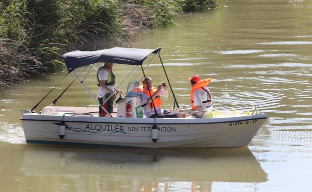 El servicio de barcas turísticas en la Dársena de Palencia vuelve a salir a contratación