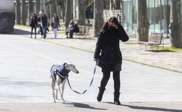 Trabajadores, familias y cofrades, pasajeros del 'búho' de Valladolid