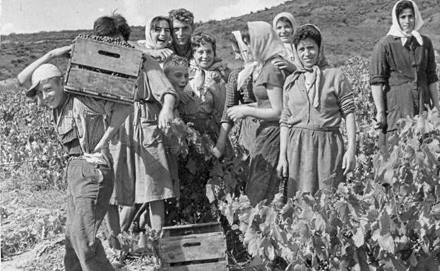 Ribera del Duero prepara un verano de celebraciones por su 40 aniversario