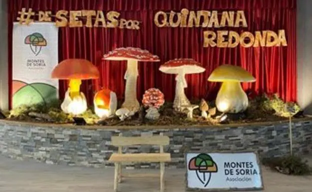 Montes de Soria y la Junta negocian ampliar el Parque Micológico en 29.000 hectáreas