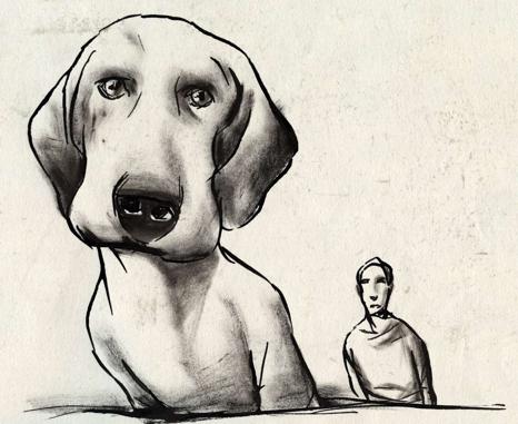 No hay bichos en Valladolid