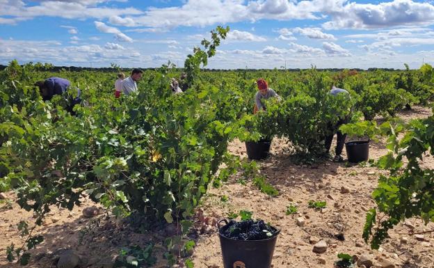 Vino a granel en Rusia, de más a menos