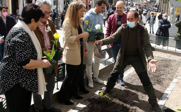 Segovia planta tulipanes para sensibilizar a la opinión pública sobre el párkinson