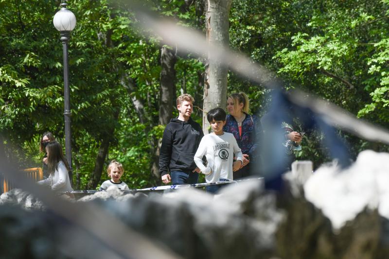 El parque del Campo Grande resiste al foco de gripe con solo cuatro de las 81 aves muertas hasta ahora