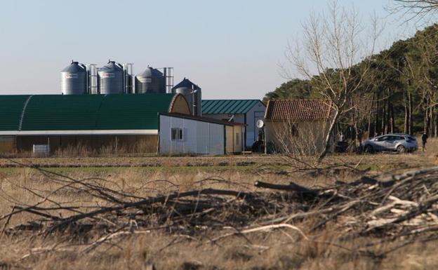 Extinguidos los tres focos de gripe aviar detectados en Castilla y León