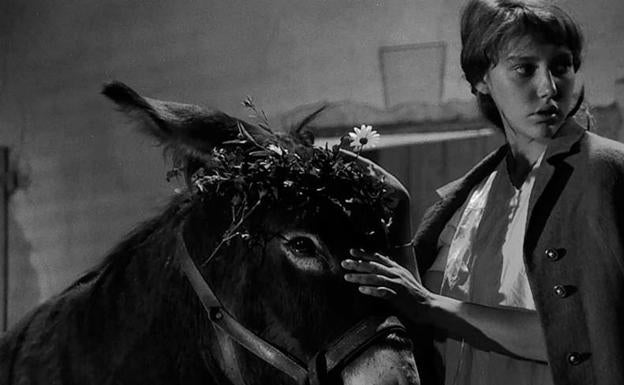 'Al azar, Baltasar': el milagro de Bresson