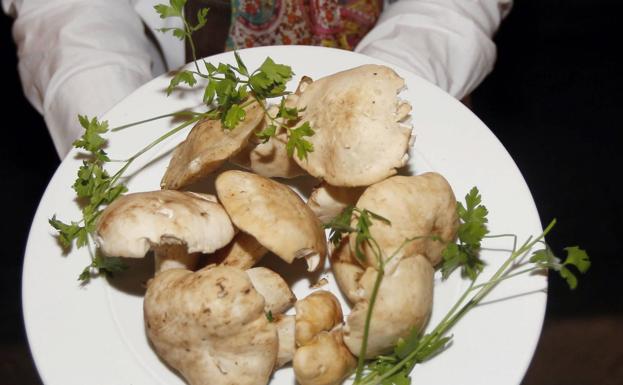 Perrechicos, criadillas o cardo, algunas de las deseadas setas de primavera
