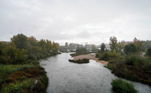 LIFE Vía de la Plata formará a los salmantinos para participar en estudios científicos sobre la fauna local