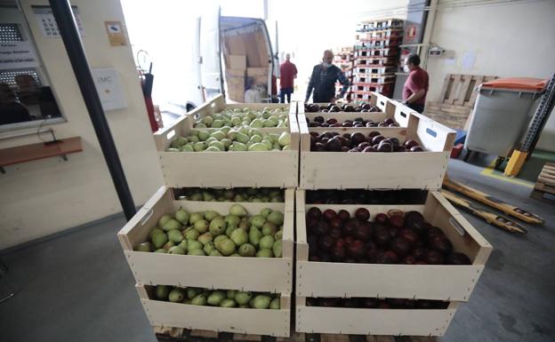 El Banco de Alimentos espera un «posible aluvión de peticiones por el conflicto de Ucrania»