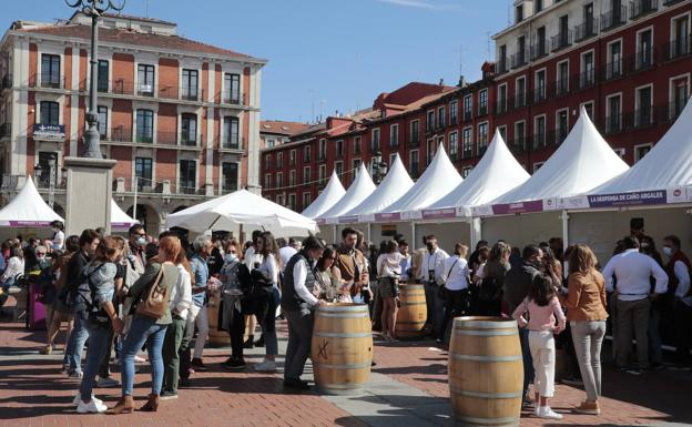 'Valladolid Plaza Mayor del Vino' aborda su cuarta edición