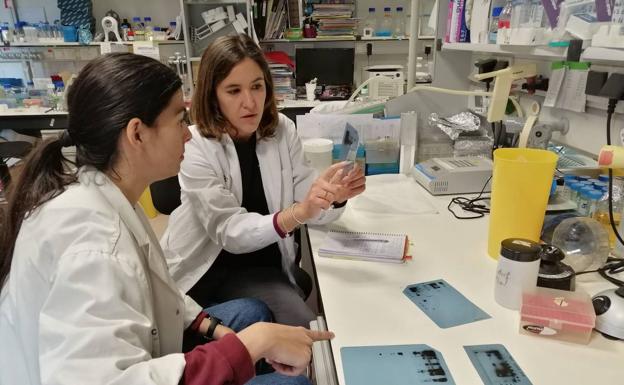 Una investigación busca voluntarios en Castilla y León para identificar células con disposición a la leucemia