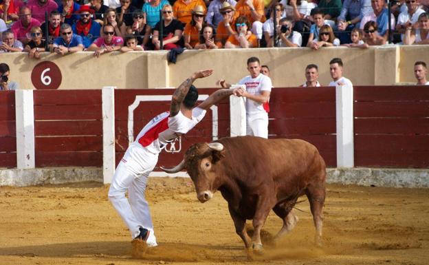 Olmedo acoge este domingo la final de cortes de Castilla y León de jóvenes promesas