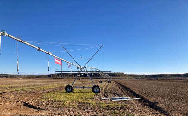 Las lluvias de abril «garantizan» el riego según la CHD