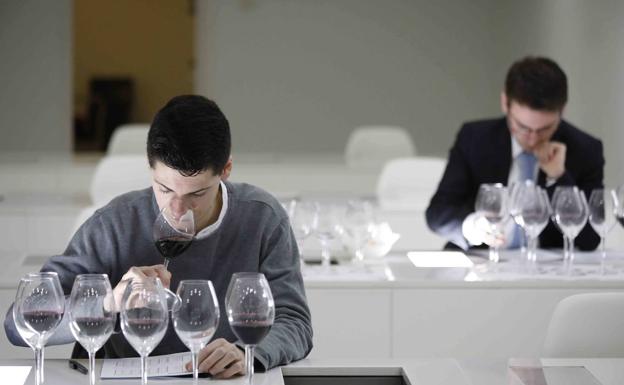 Diez prescriptores de prestigio calificarán la añada 2021 de Ribera del Duero el 9 de mayo