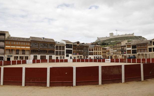 Peñafiel estrena los Toros de Mayo con encierros y capeas