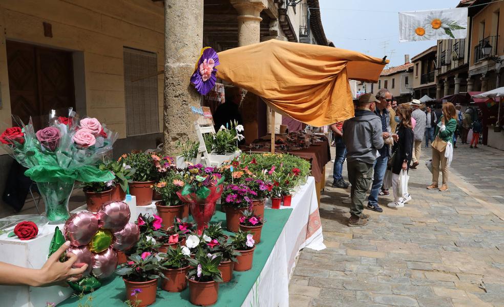 Ampudia celebra la undécima edición del Mercado Regional de la Flor