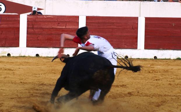 El vallisoletano Rubén Poncela gana el campeonato de cortes regional de jóvenes promesas