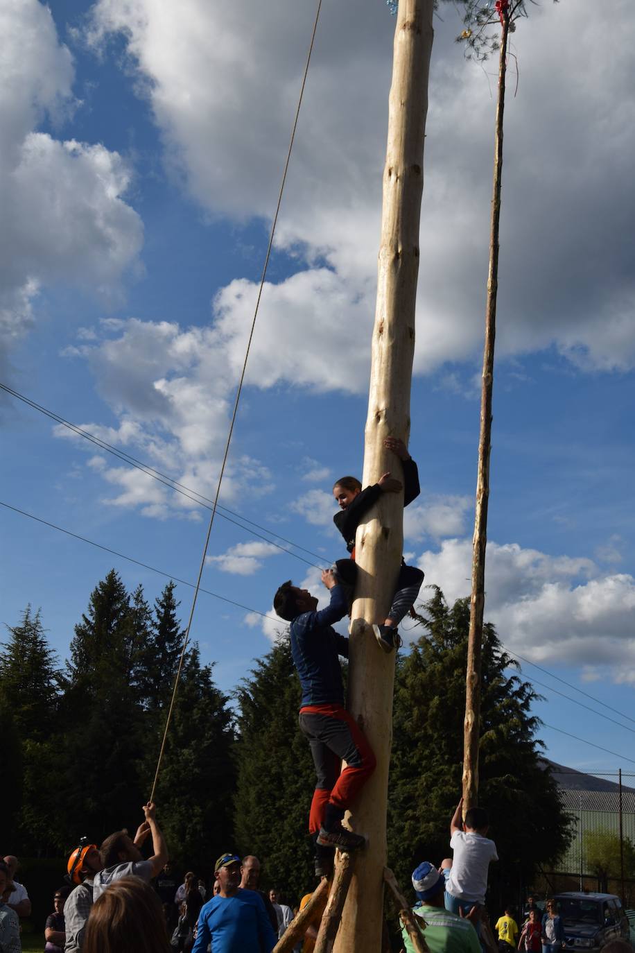 Velilla recupera la 'Pinada del Mayo'