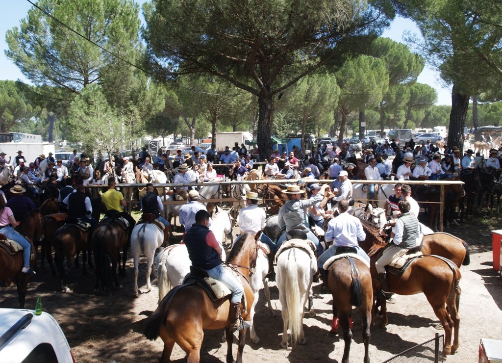 XVI romería flamenca El Lerele en Pedrajas de San Esteban