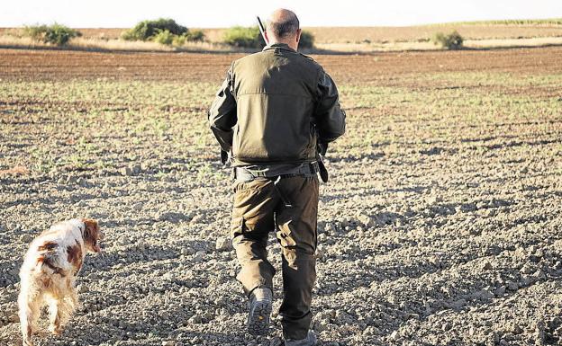 La Federación considera un «atentado al sentido común» prohibir la caza de la codorniz